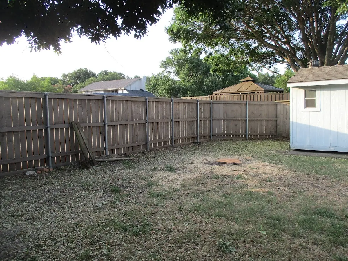 Cleared yard after professional tree removal in Pembroke Township