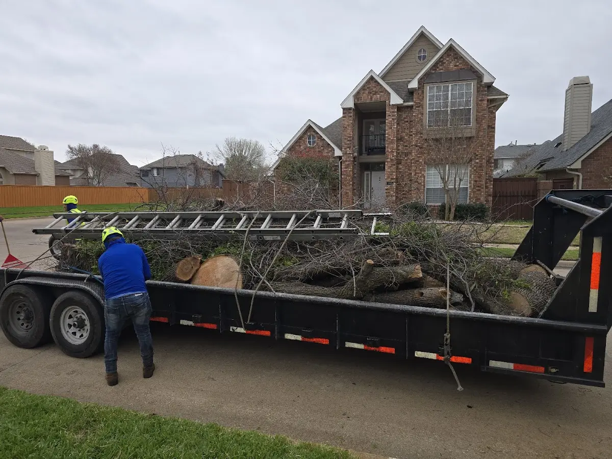 Expert Tree Pest Control with proper safety equipment in Pembroke Township